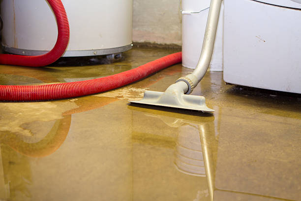 Best Water damage restoration near me  in Wayzata, MN