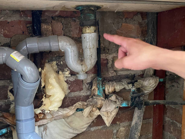 Best Commercial water damage restoration  in Wayzata, MN