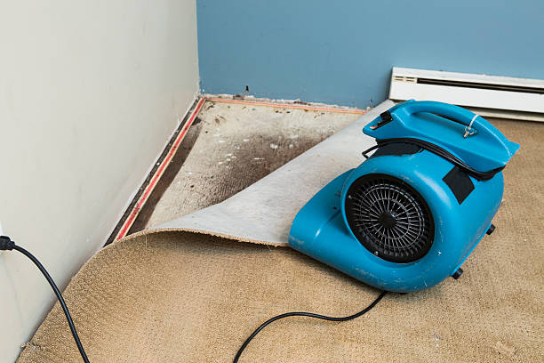 Best Basement water damage restoration  in Wayzata, MN